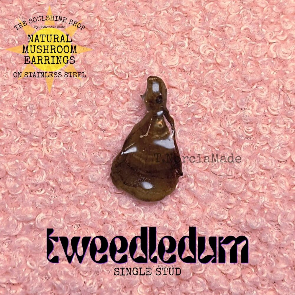 TweedleDum Natural Mushroom Single Stud Earring